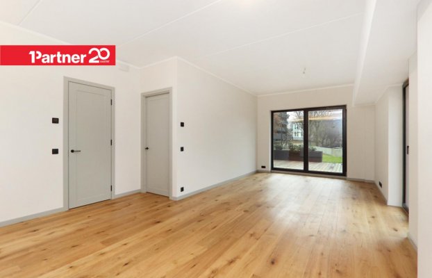 картина 11 of 45