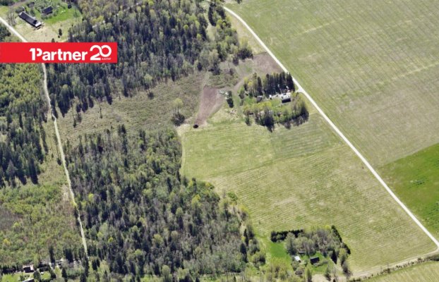 картина 4 of 7