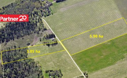 Image of Kokku pea 10 ha põllu- ja metsamaad Raplamaal!