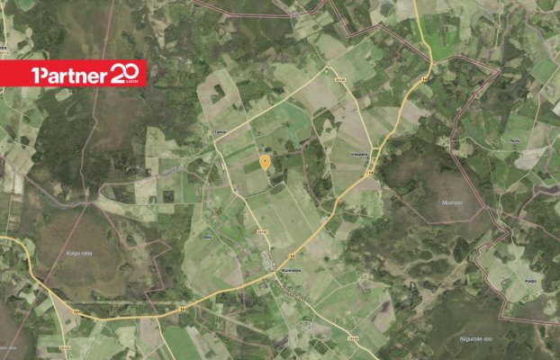 картина 6 of 7