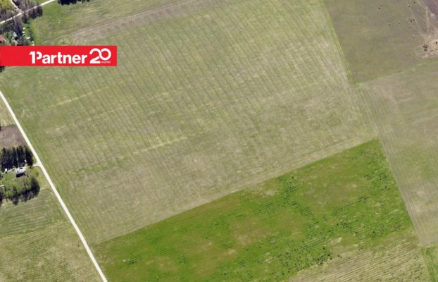 картина 5 of 7