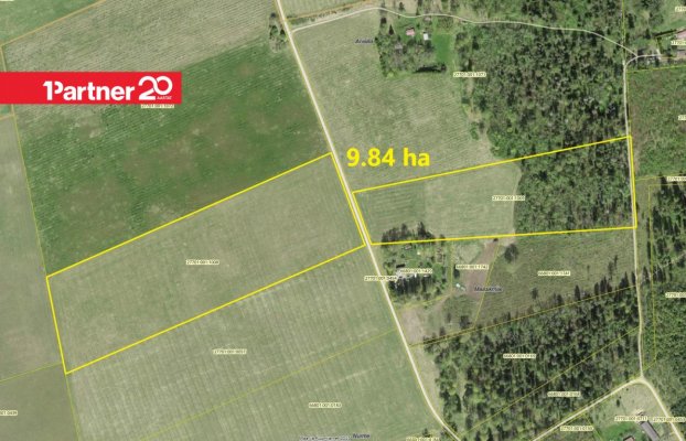 картина 1 of 7