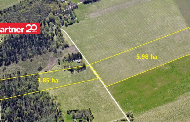 картина 2 of 7