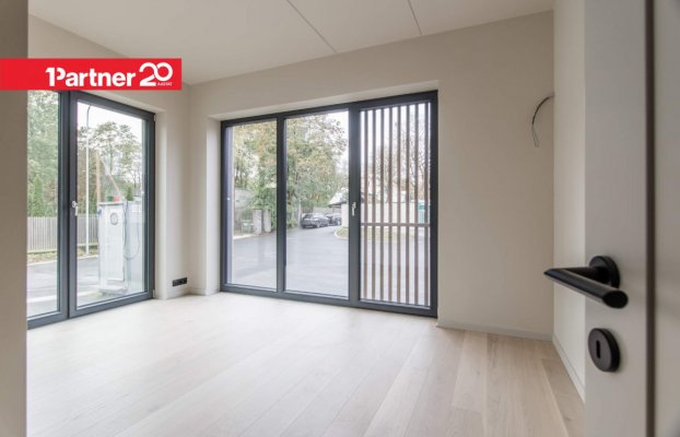 картина 12 of 31