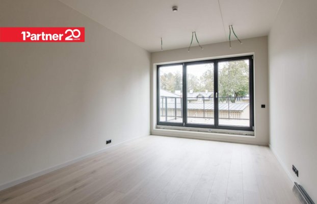 картина 18 of 31