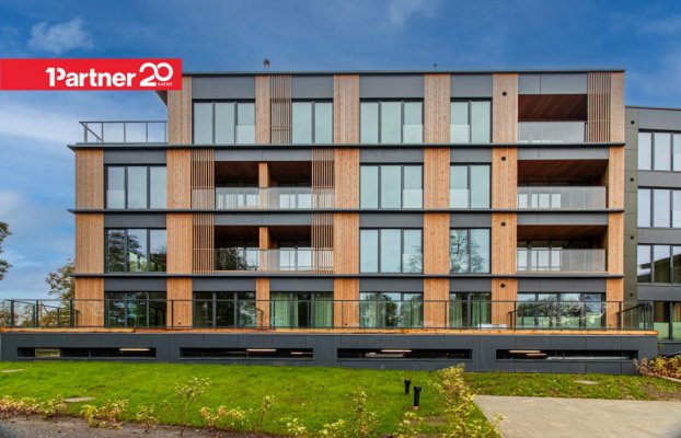 картина 27 of 31