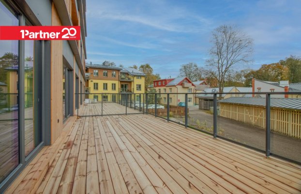 картина 2 of 31