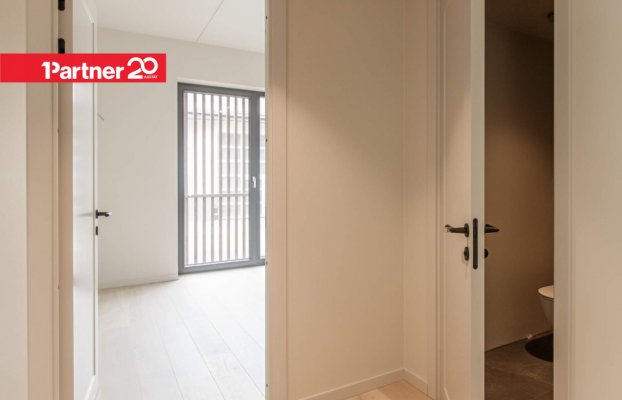 картина 7 of 31