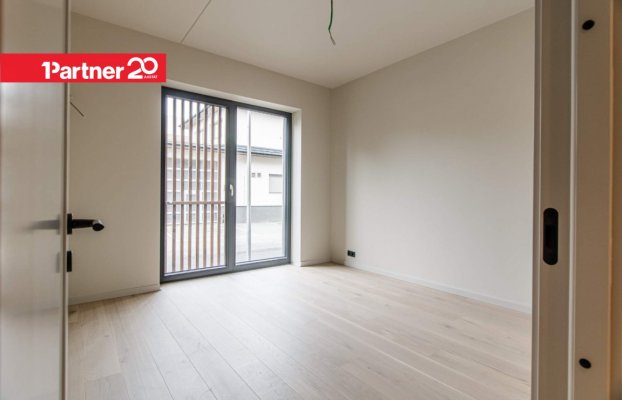 картина 10 of 31