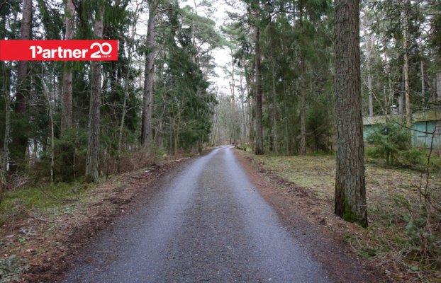 Image 16 of 20