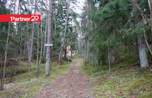 Image 14 of 20