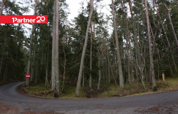 Image 15 of 20