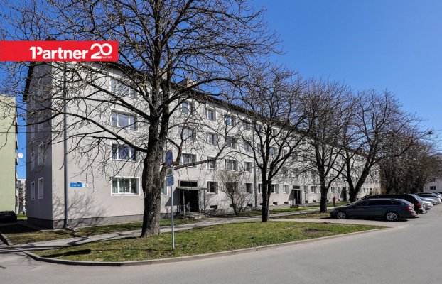 картина 19 of 21