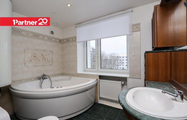 картина 13 of 21