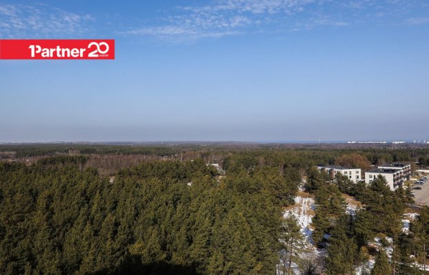 картина 18 of 22