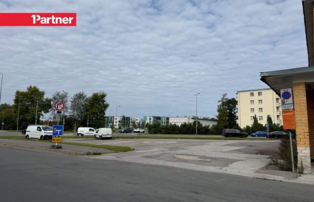 Image 8 of 13