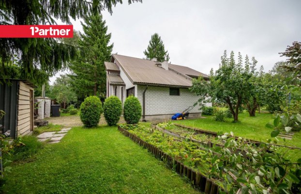 Image 19 of 24