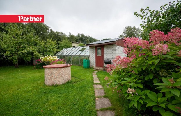 Image 21 of 24