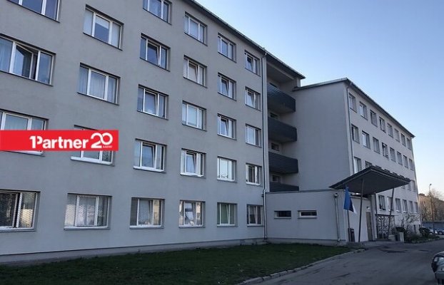 картина 11 of 12