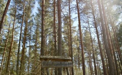 Image of Metsahundi — ranniku varjatud pärl