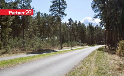 Image of Metsahundi — ranniku varjatud pärl