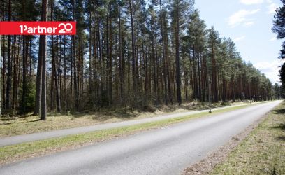 Image of Metsahundi — ranniku varjatud pärl