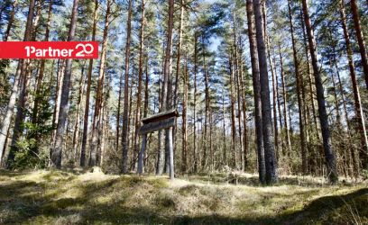 Image of Metsahundi — ranniku varjatud pärl