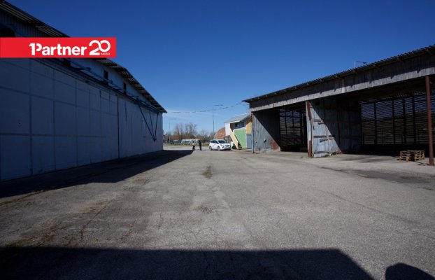 картина 2 of 19