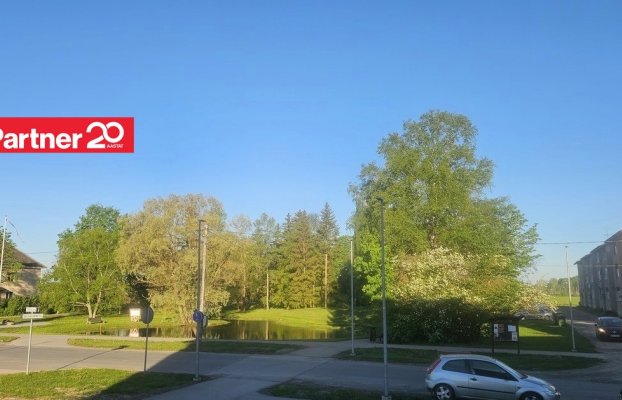 картина 9 of 10