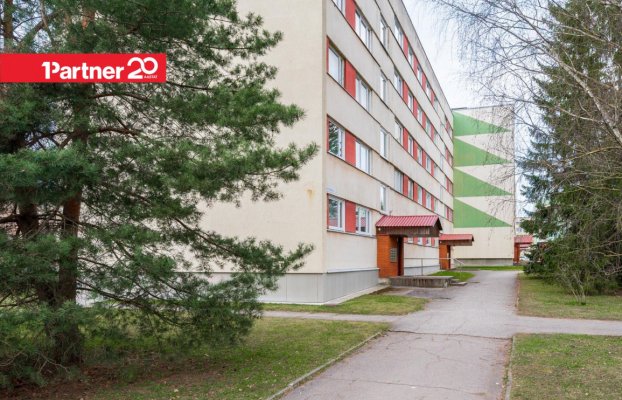 картина 14 of 16