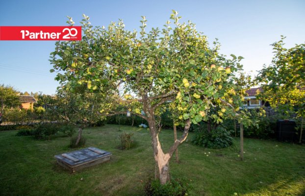 Image 25 of 38