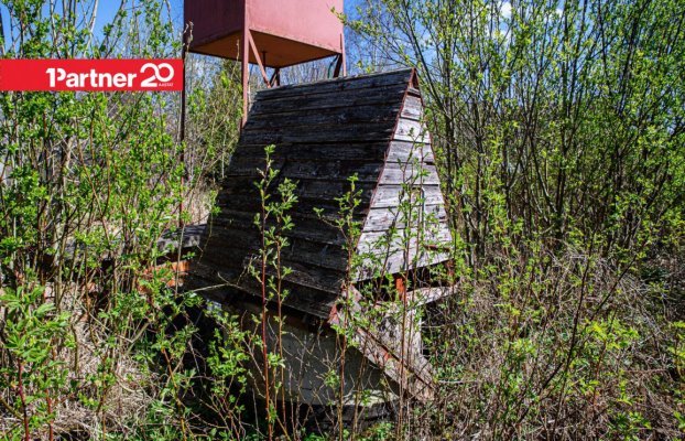 картина 21 of 25