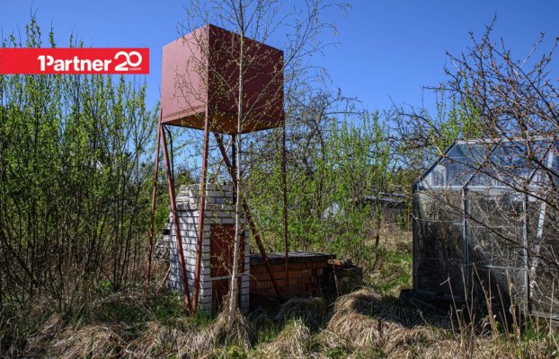 картина 22 of 25