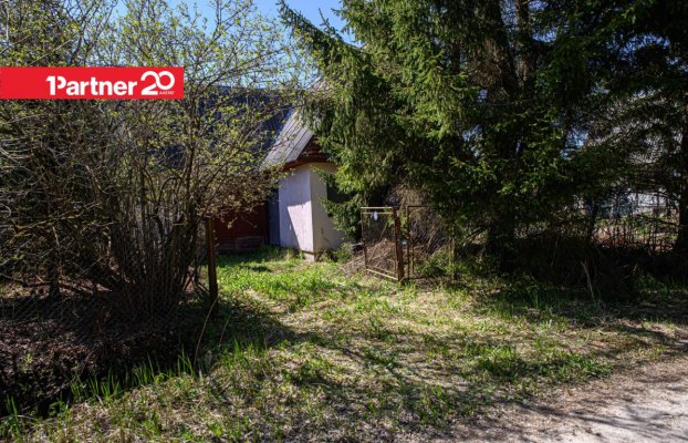 картина 24 of 25