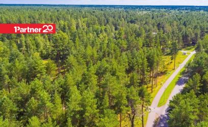 Image of Merelähedane kõrghaljastusega krunt. KIIRMÜÜK