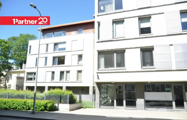 Image 11 of 21