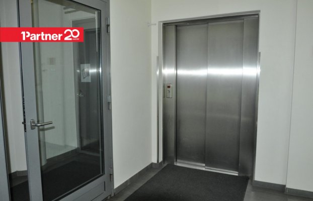Image 8 of 21