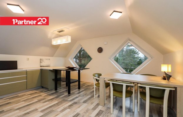 картина 6 of 24