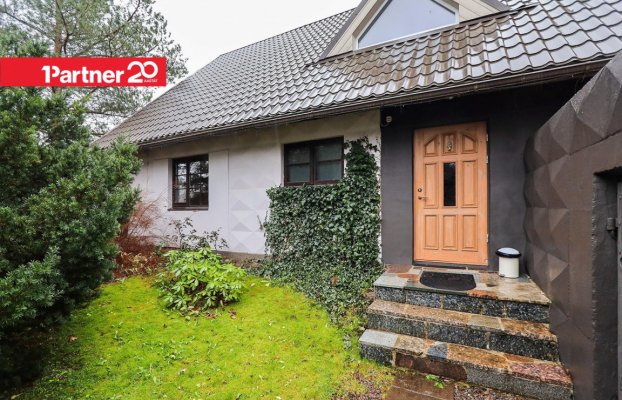 картина 23 of 24