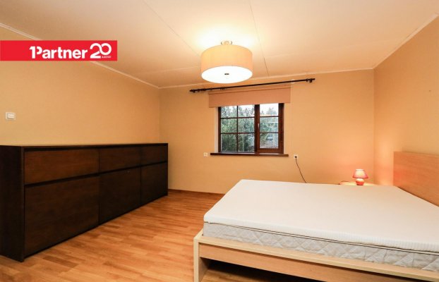 картина 11 of 24