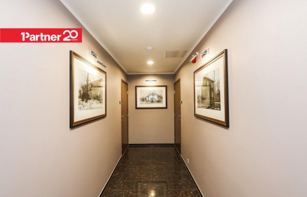 Image 14 of 19