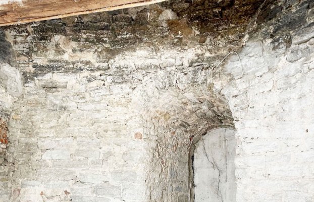 картина 12 of 20