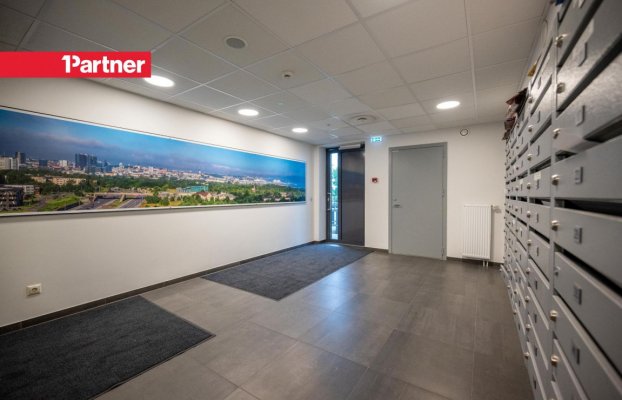Pilt 31 of 39
