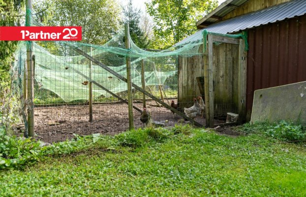 Image 50 of 62