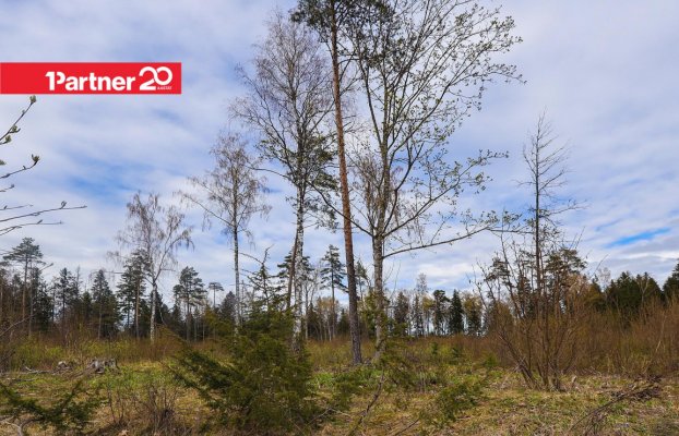 картина 9 of 16