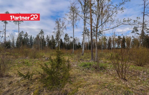 картина 5 of 16