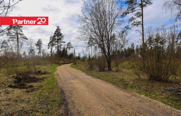 картина 2 of 16