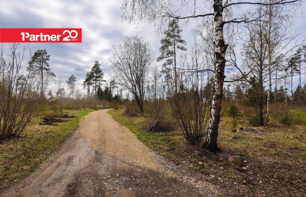 картина 12 of 16