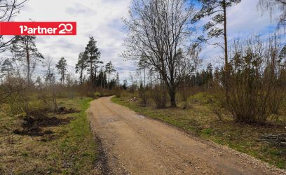 Image of EHITUSÕIGUSEGA, LOODUSKAUNIS KINNISTU!