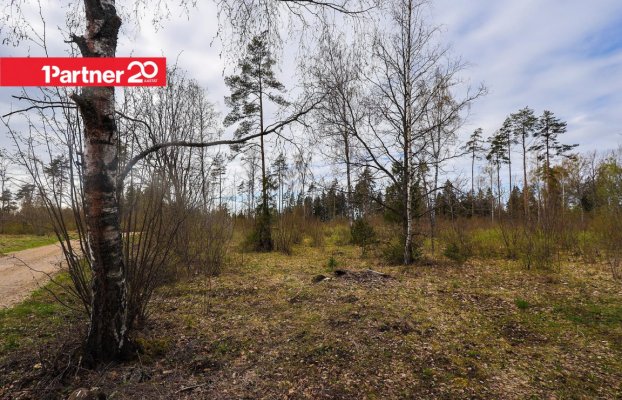 картина 6 of 16